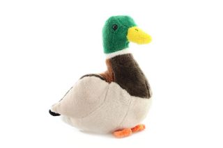 Obrázek z Kačer plyš 20cm (6) 
